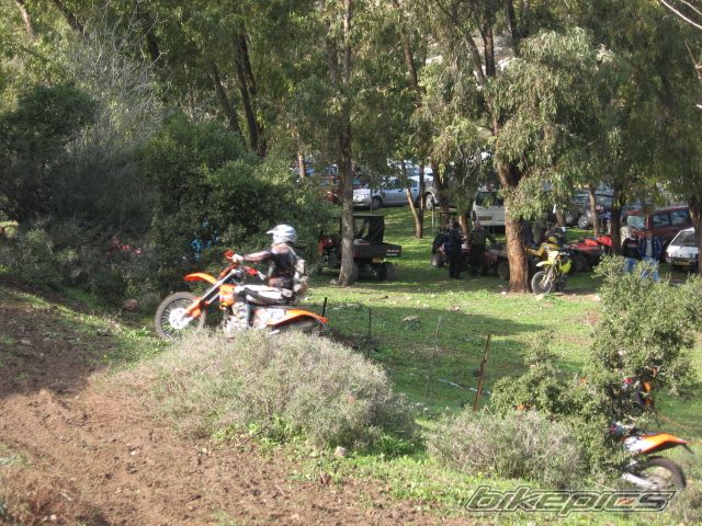 Photo 1537605