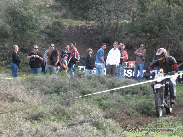 Photo 1537618