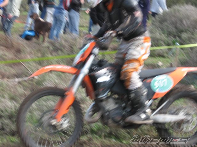 Photo 1537629