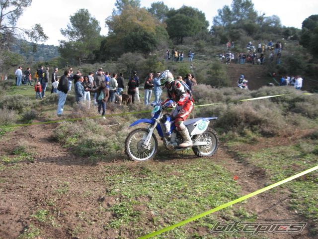 Photo 1537636