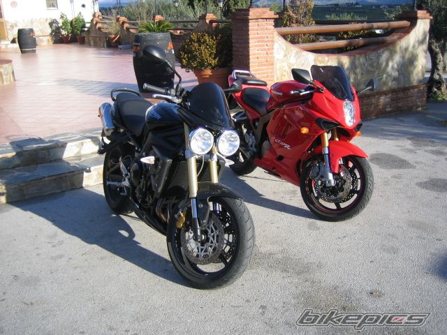 Photo 1537650