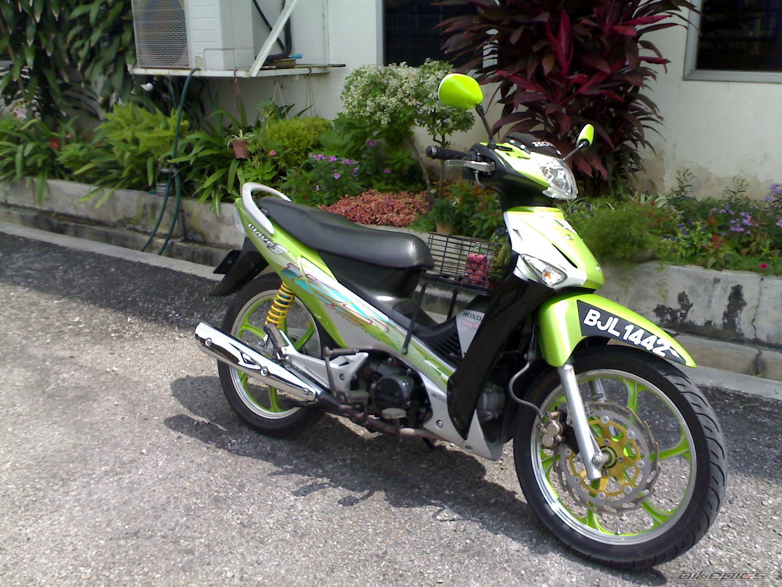 Photo 1537698