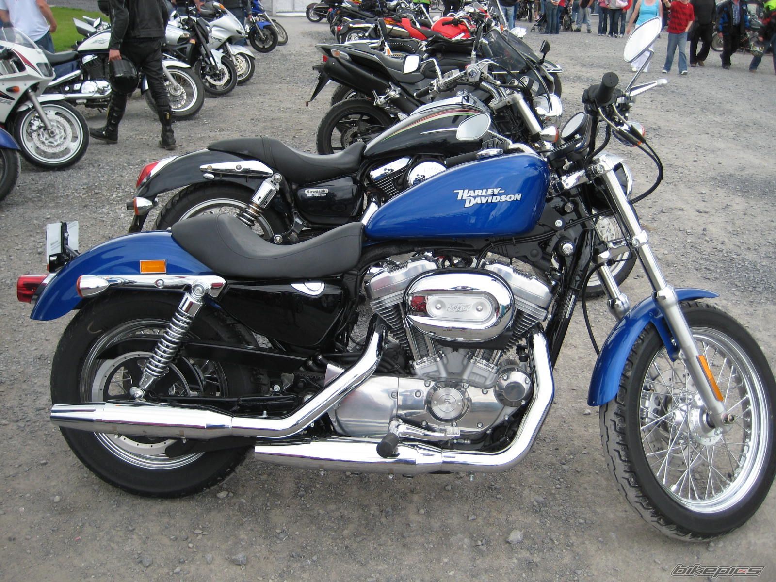 Photo 1537725