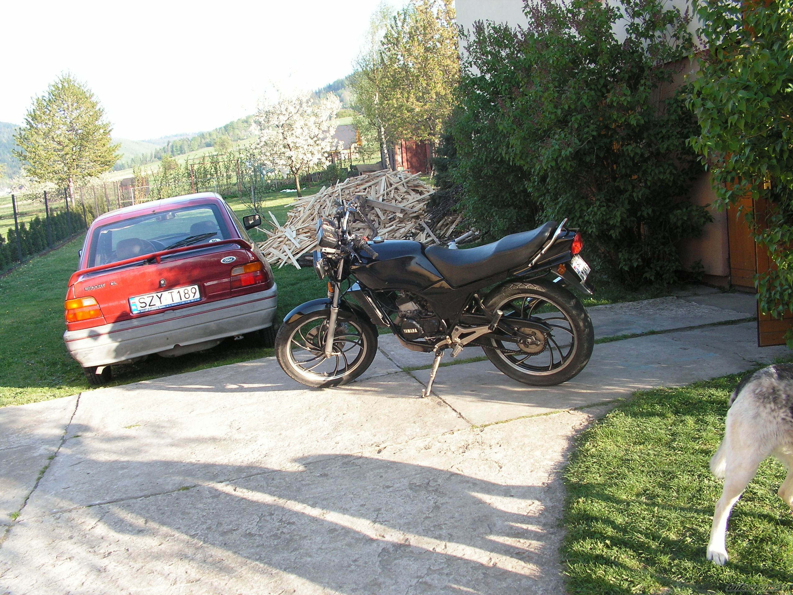 Photo 1537727