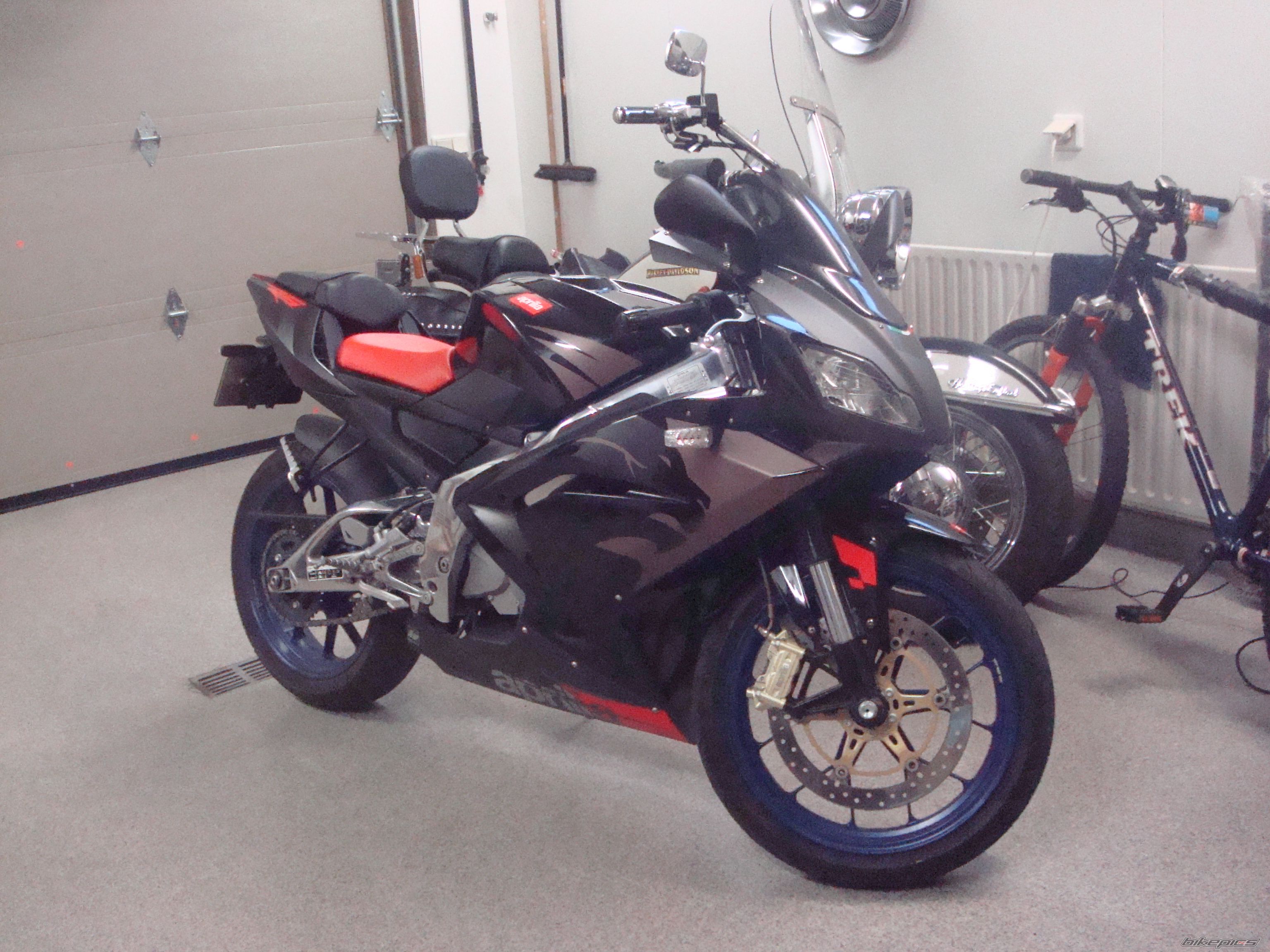 Photo 1537728