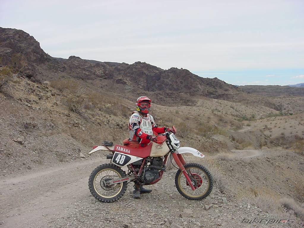 Photo 153773