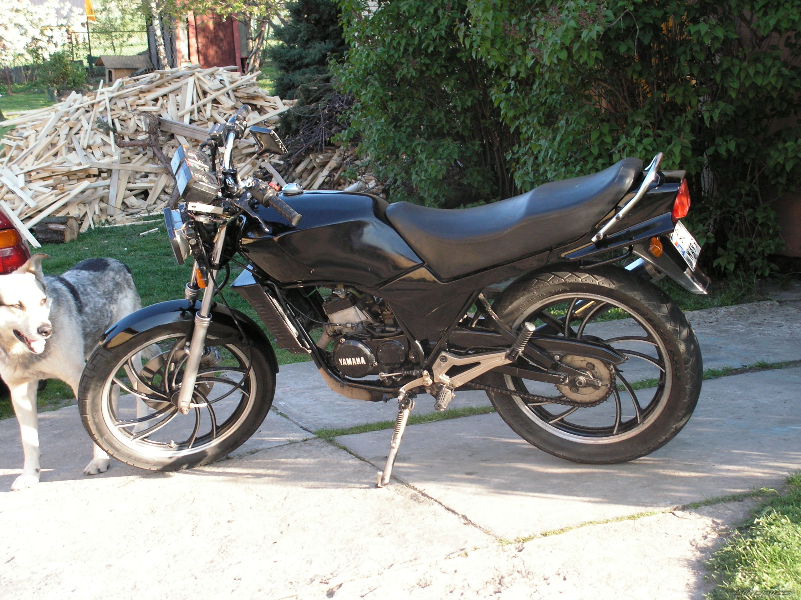 Photo 1537733