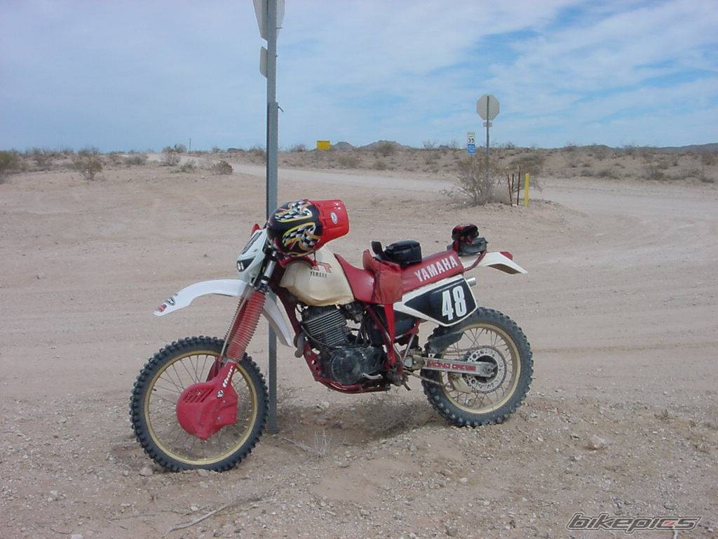 Photo 153774