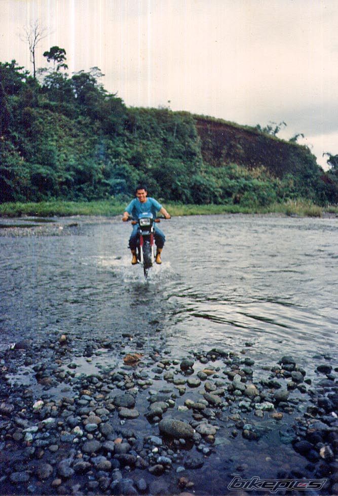 Photo 1537761