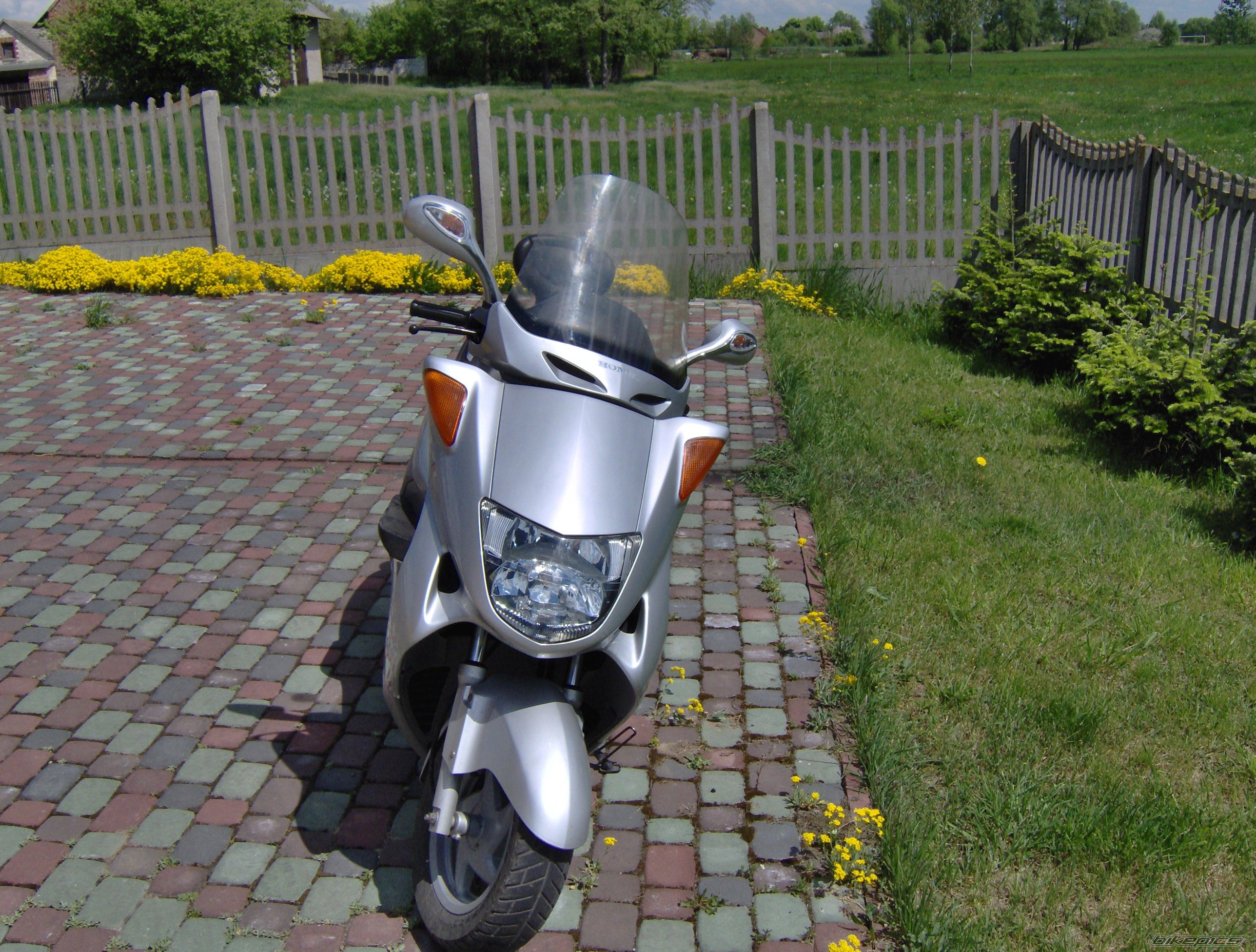 Photo 1537803