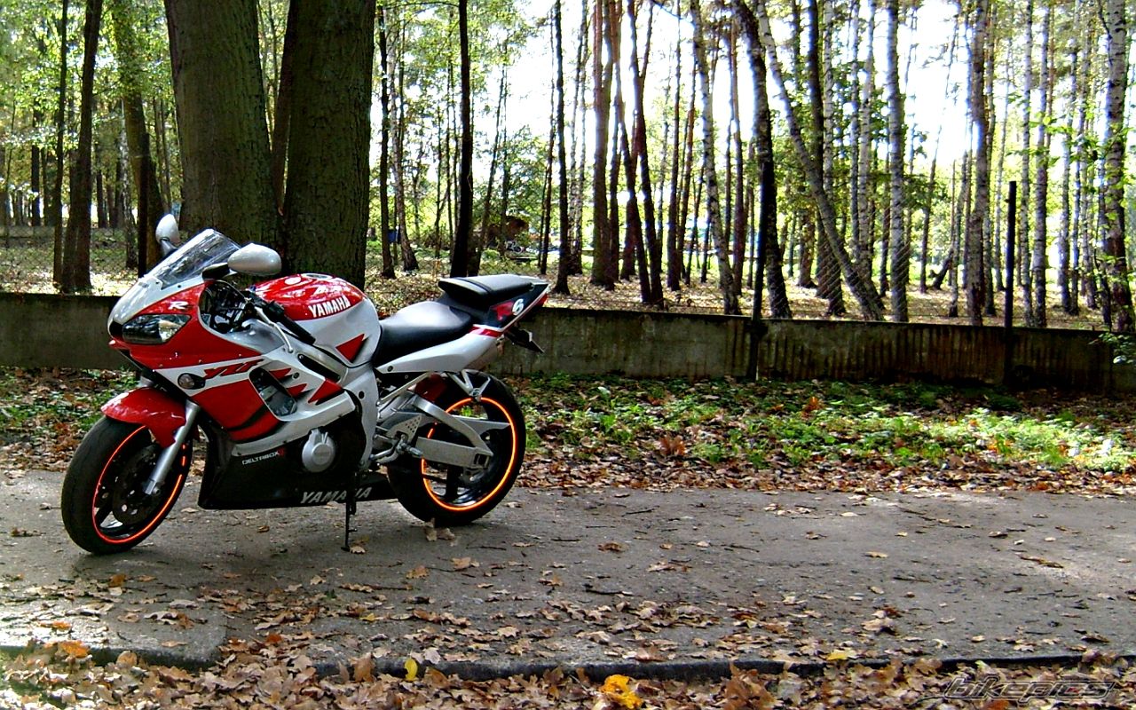 Bike Photo 1537813
