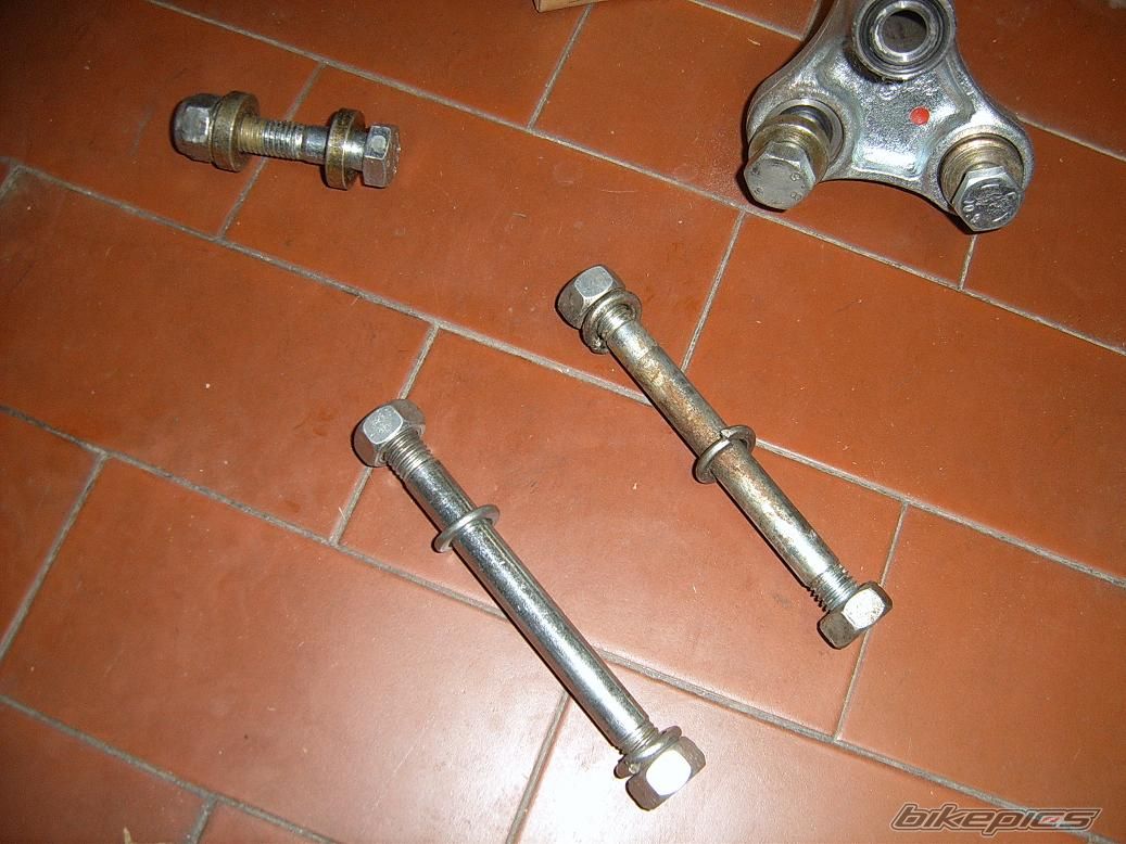 Photo 1537821