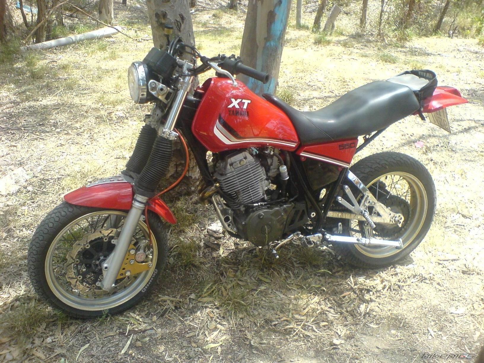 Photo 1537888