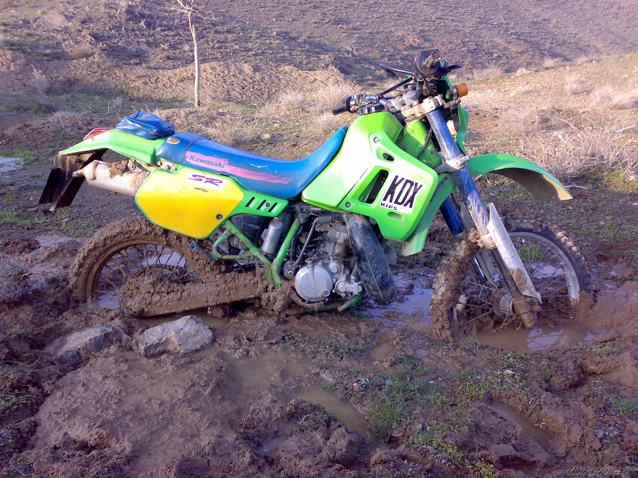 Bike Photo 1537967