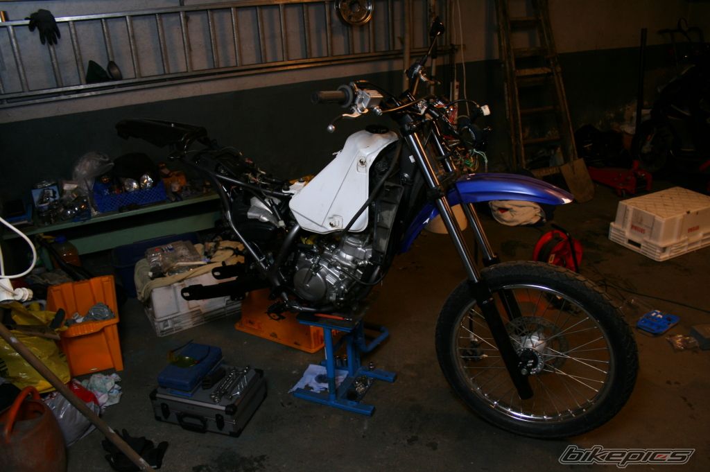 Photo 1538036