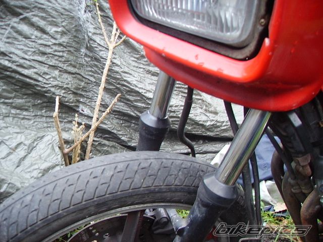Photo 1538074