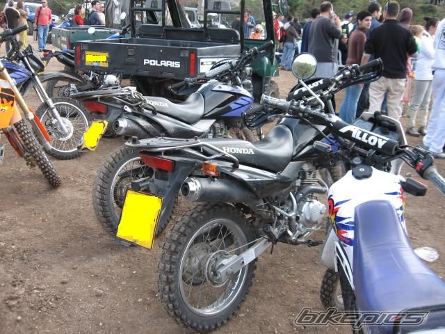 Photo 1538148