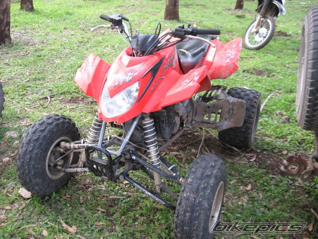 Photo 1538169
