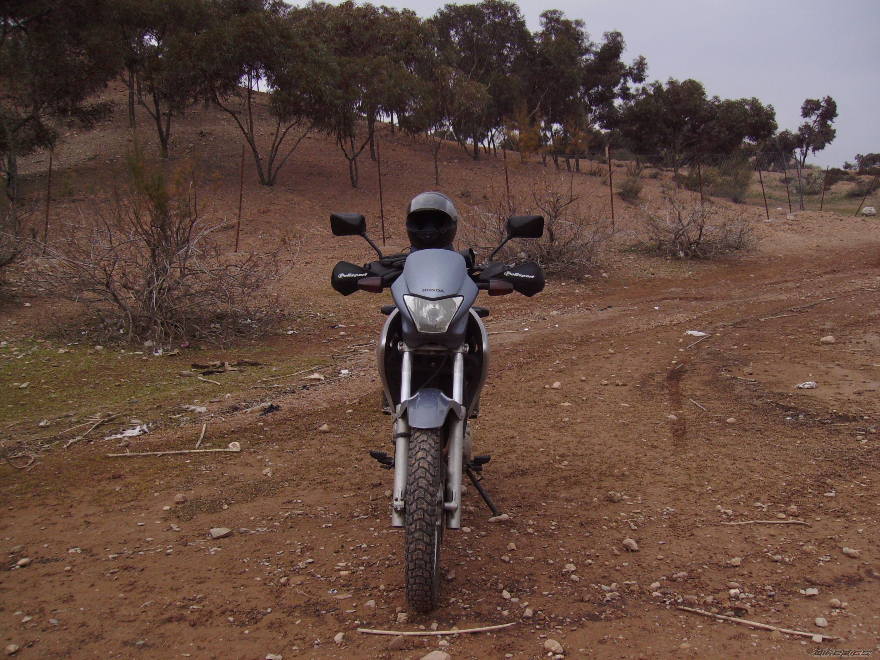 Photo 1538206