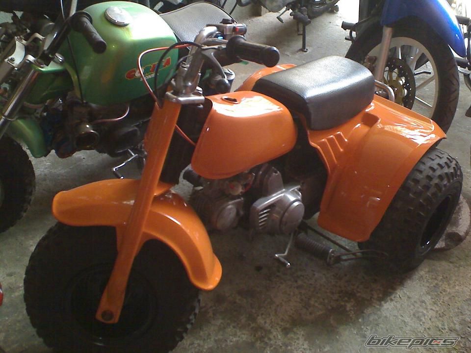 Photo 1538251