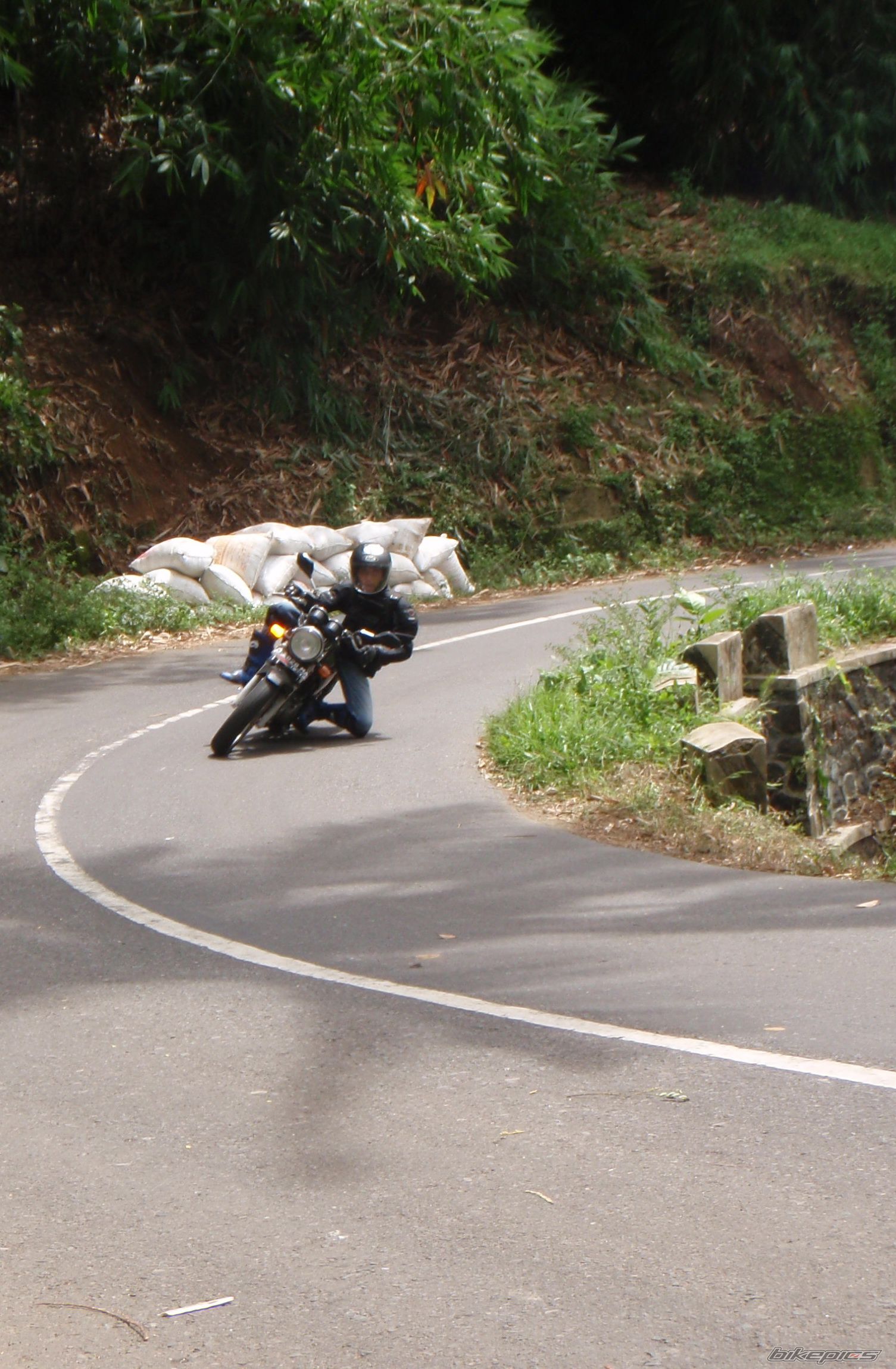Photo 1538271