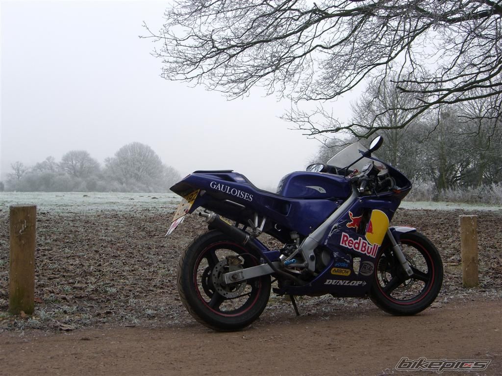 Photo 1538314