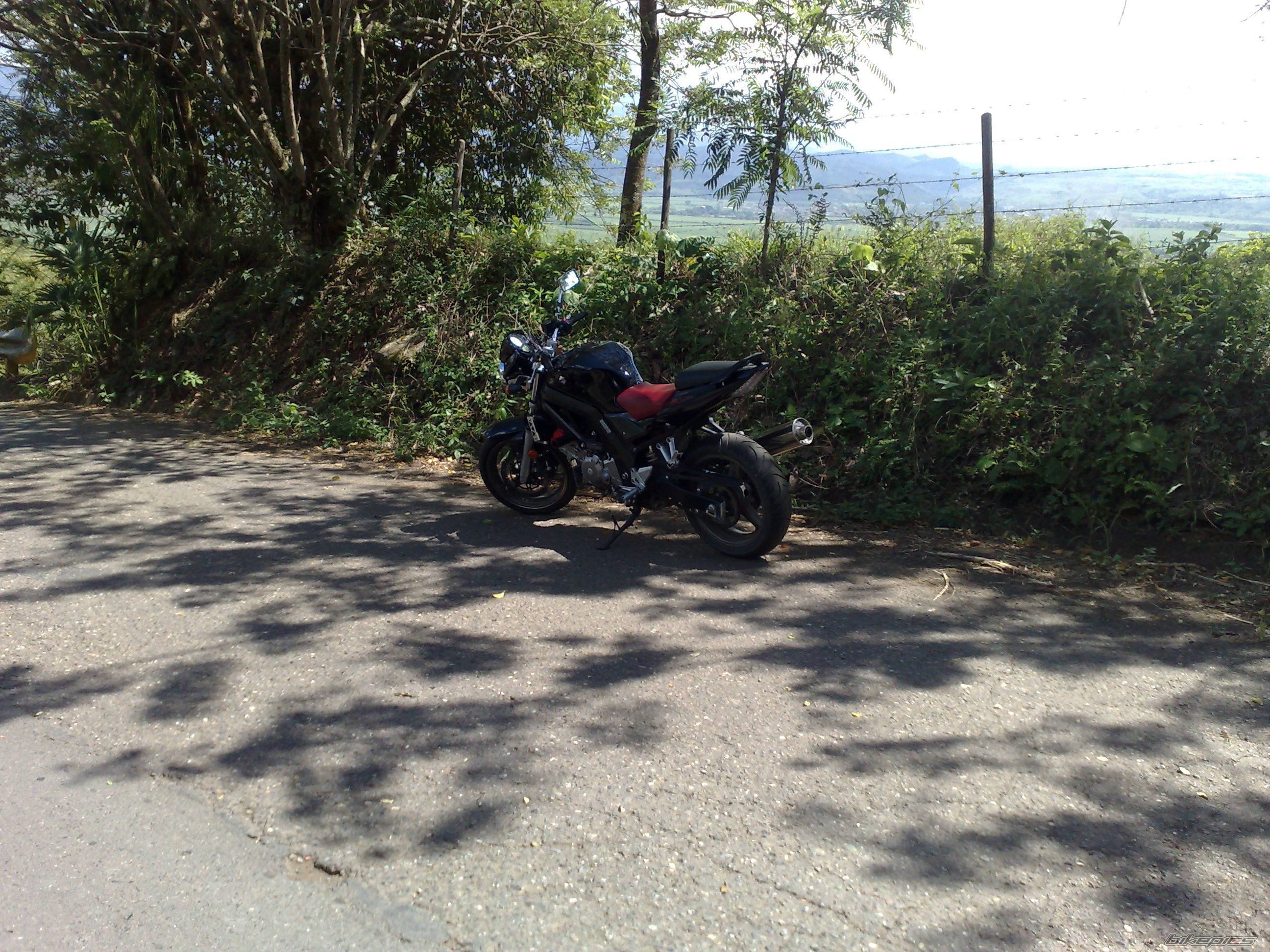 Photo 1538321