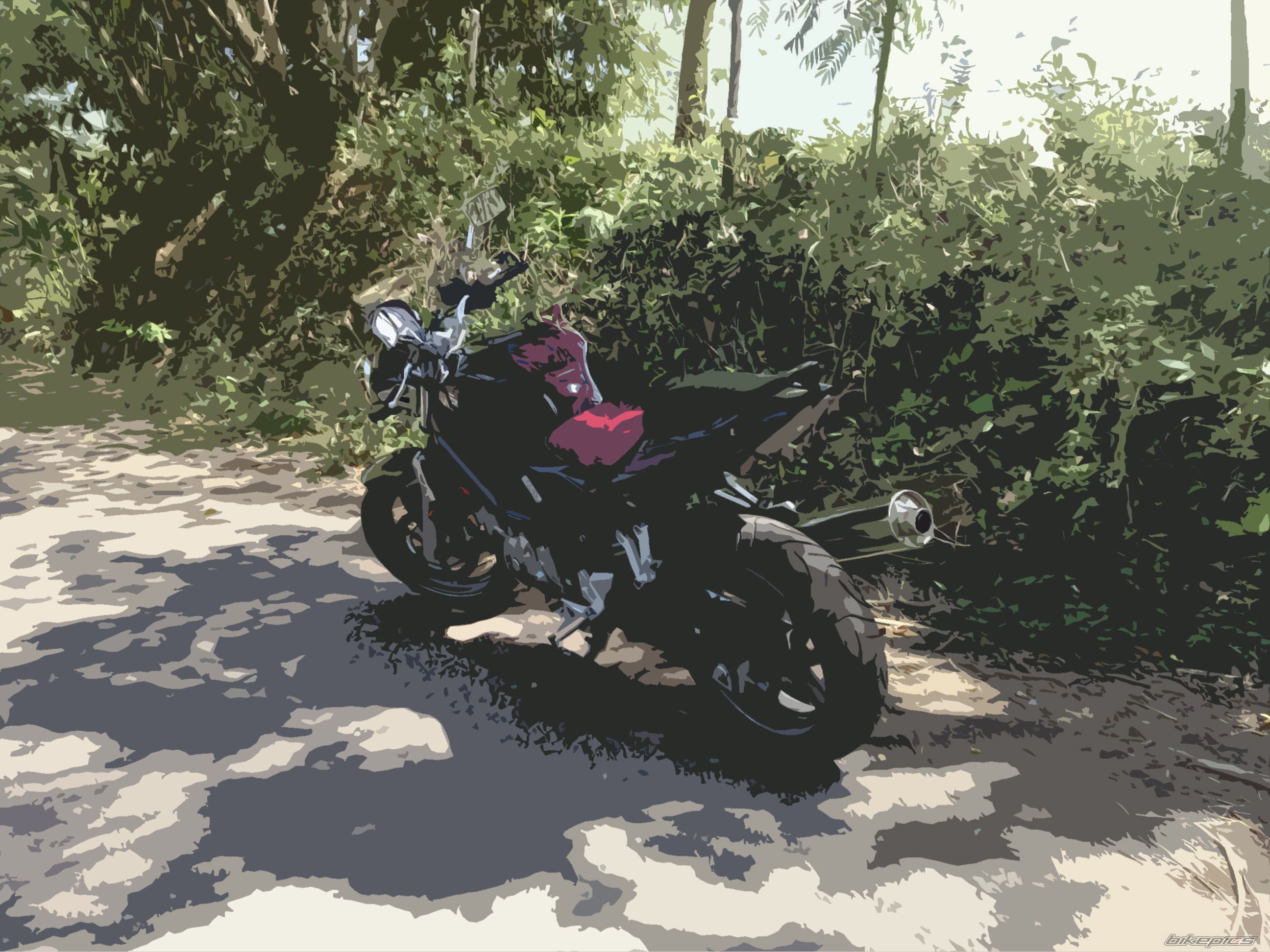 Photo 1538322