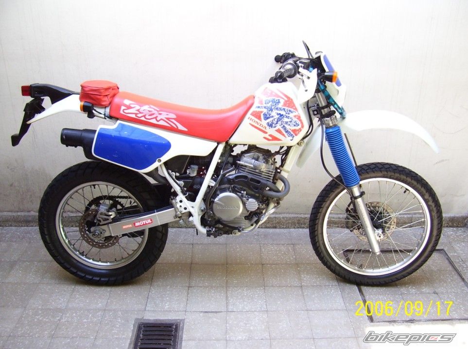 Bike Photo 1538324