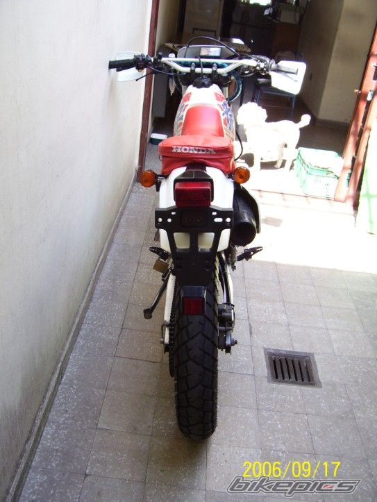 Photo 1538329