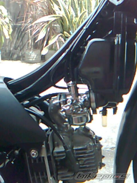 Photo 1538359