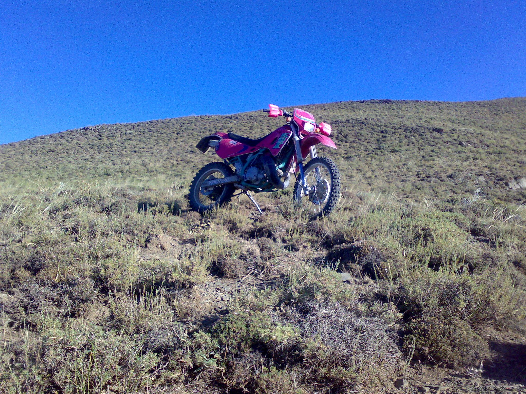 Photo 1538687