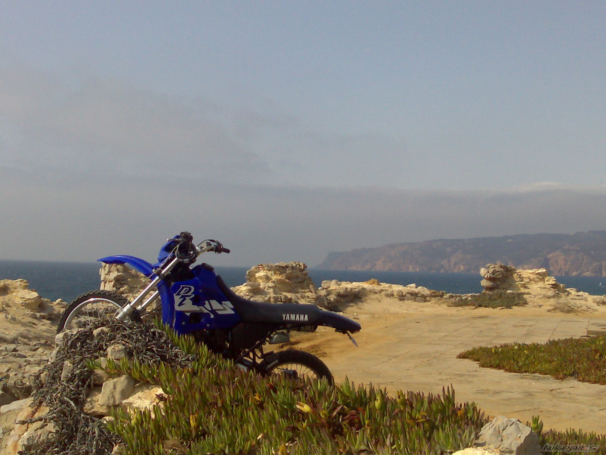 Bike Photo 1538827