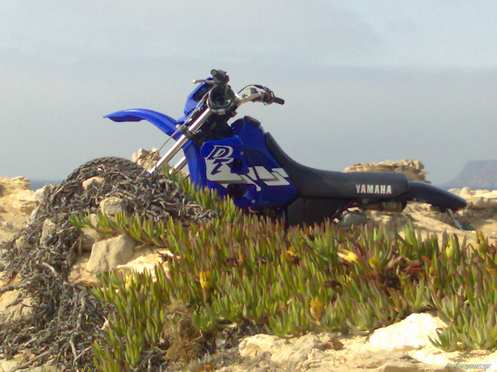 Bike Photo 1538829