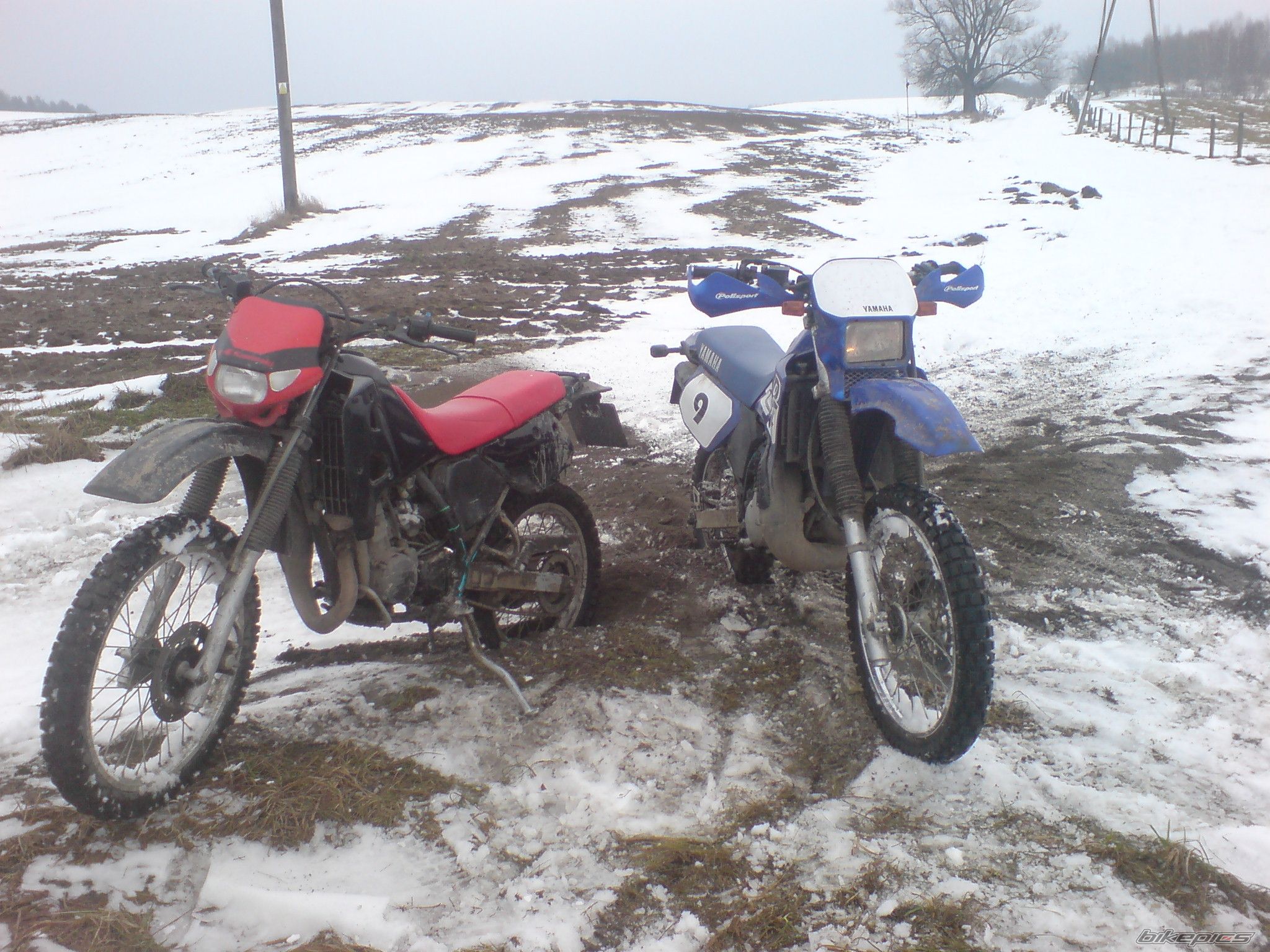 Bike Photo 1538836