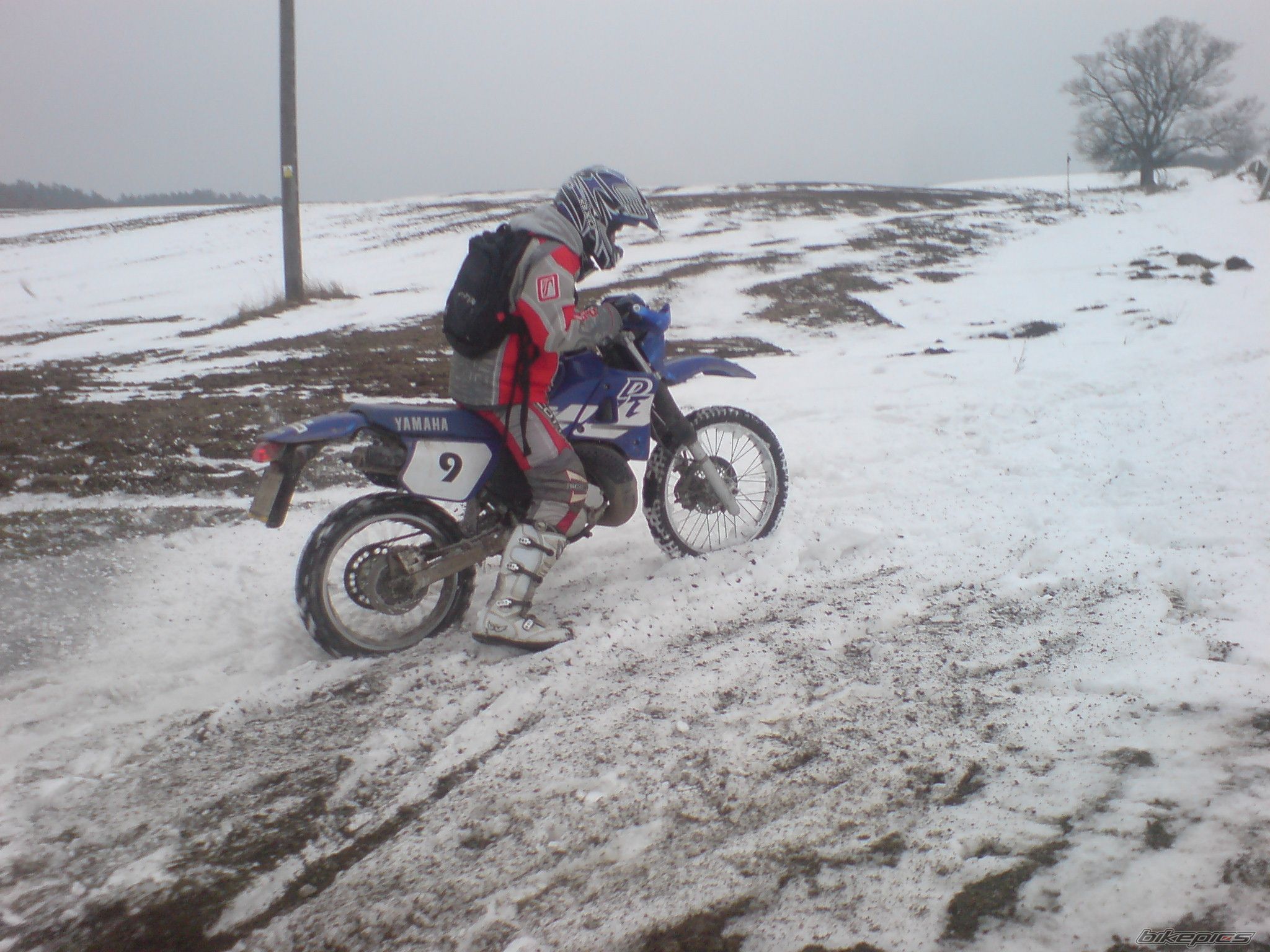Bike Photo 1538837
