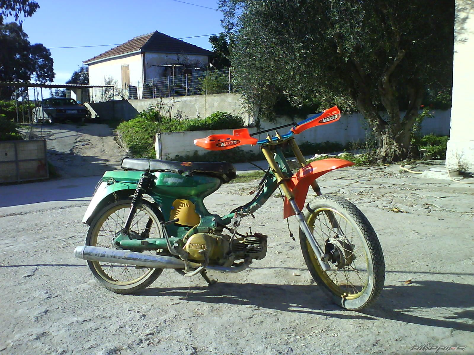 Photo 1538891
