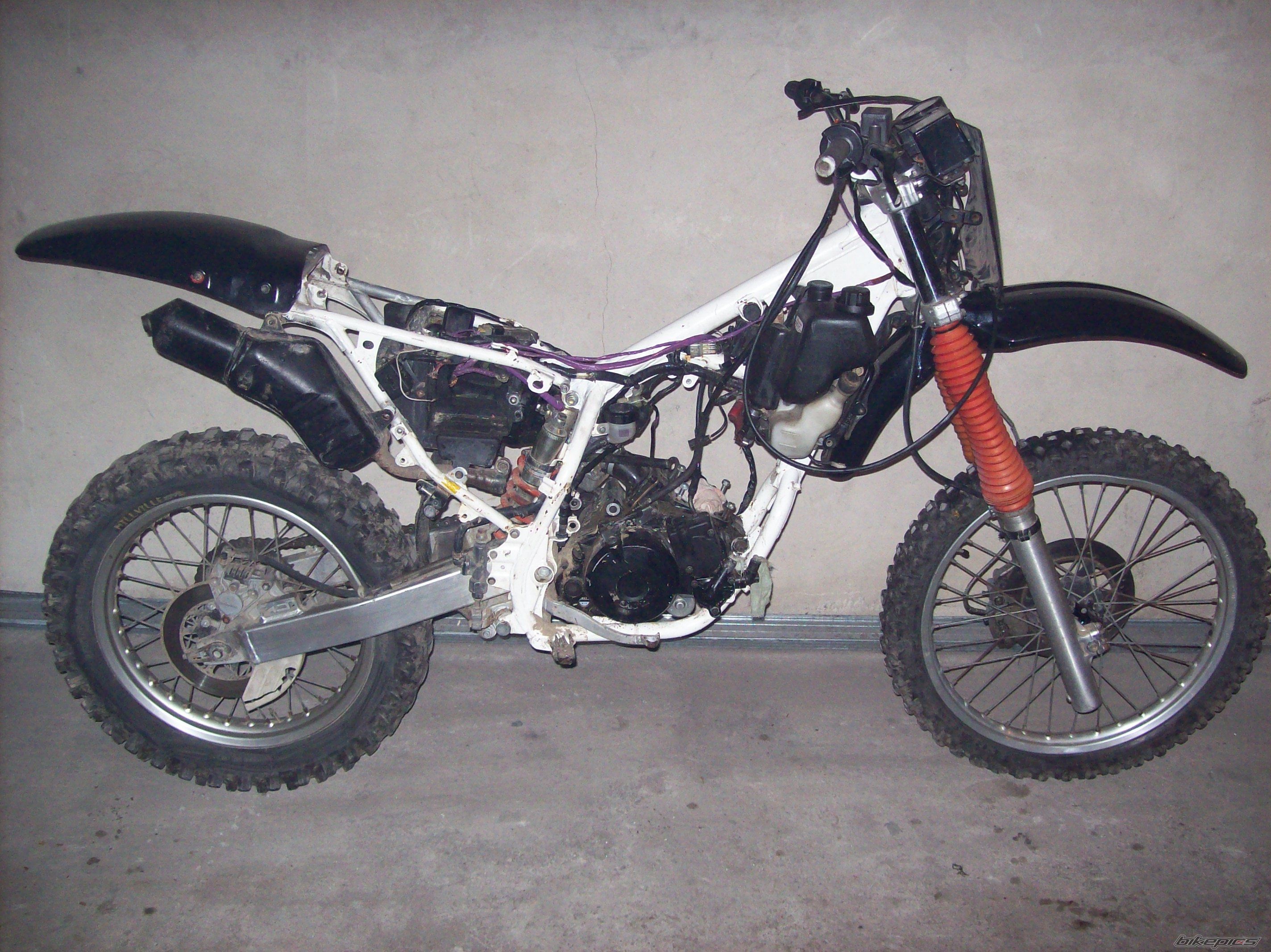 Photo 1538892