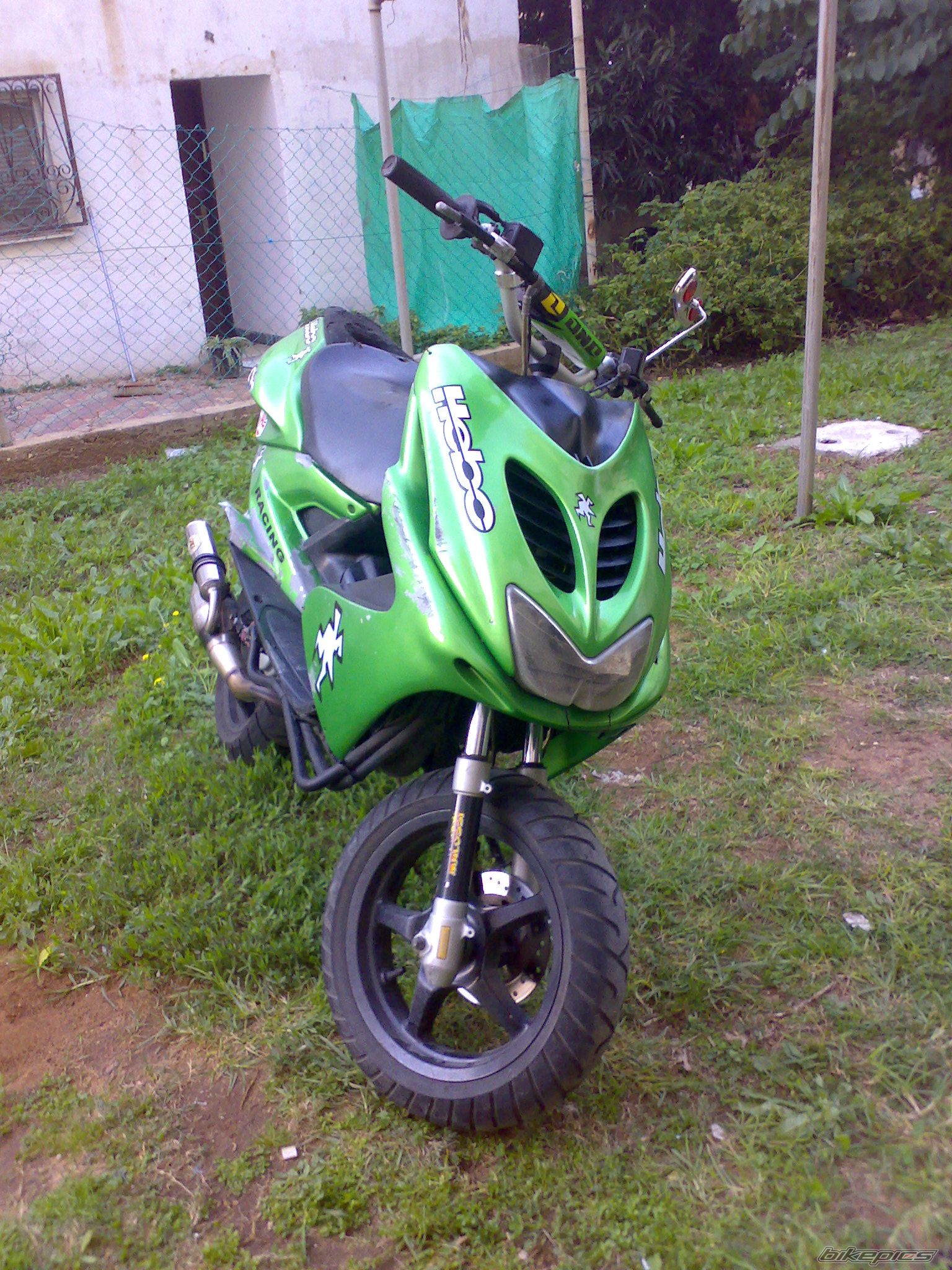 Photo 1538942