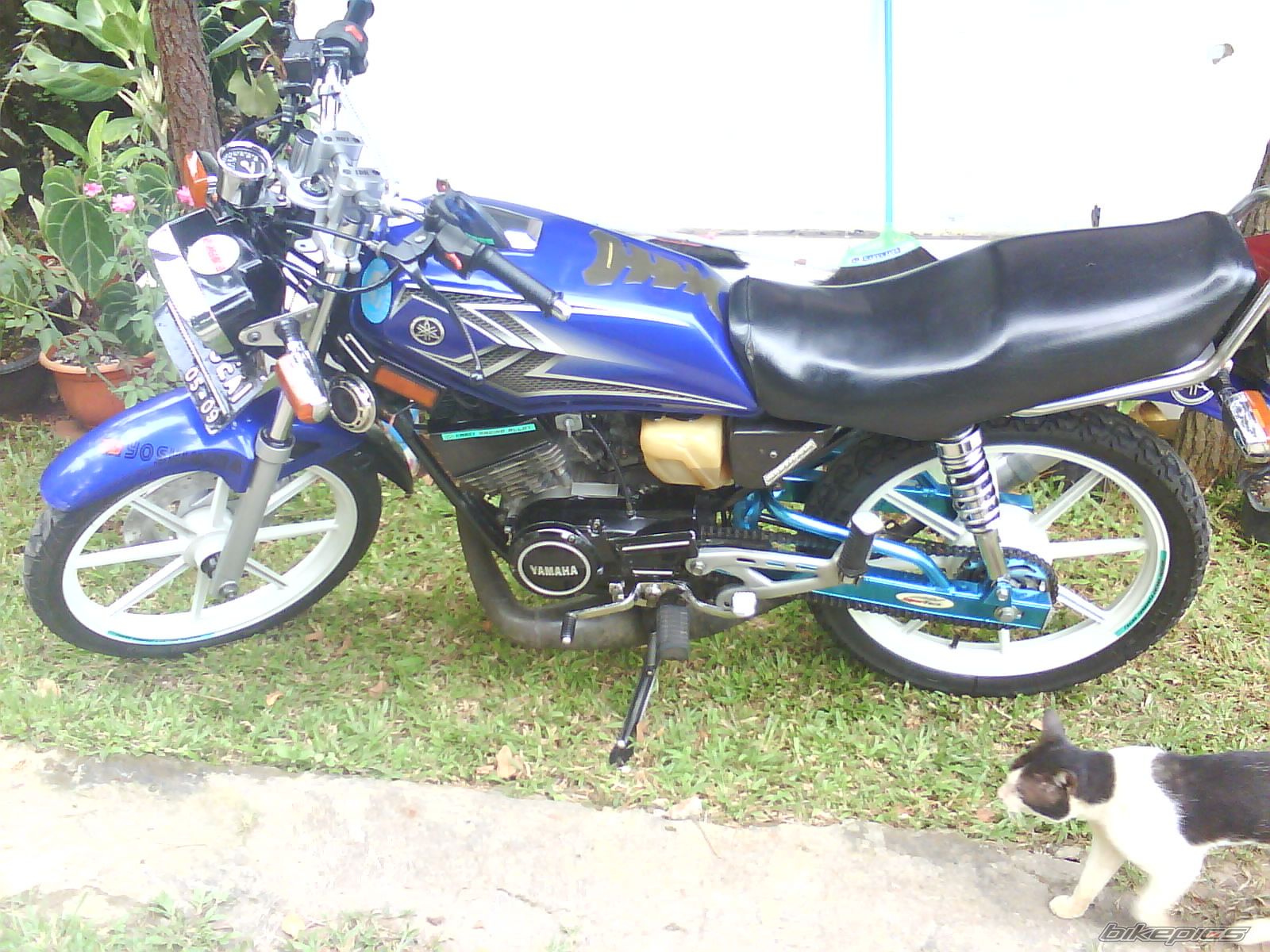 Photo 1539033