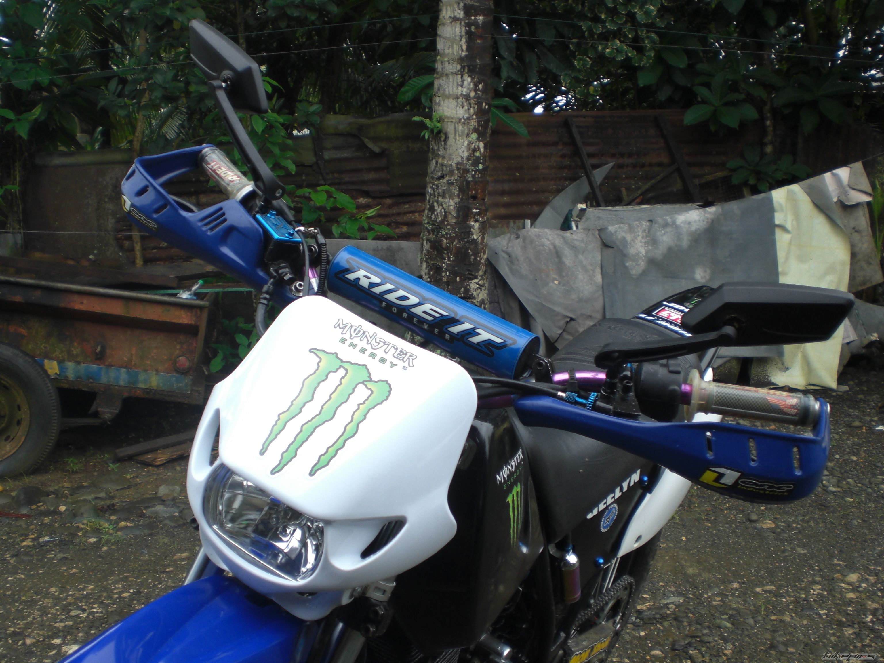 Photo 1539034