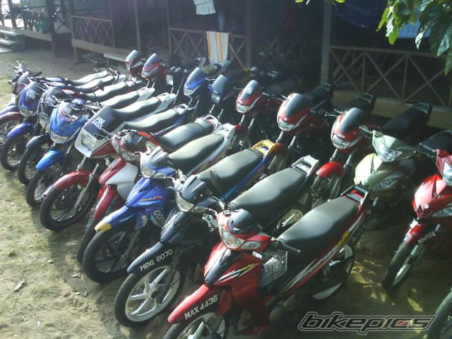 Photo 1539233