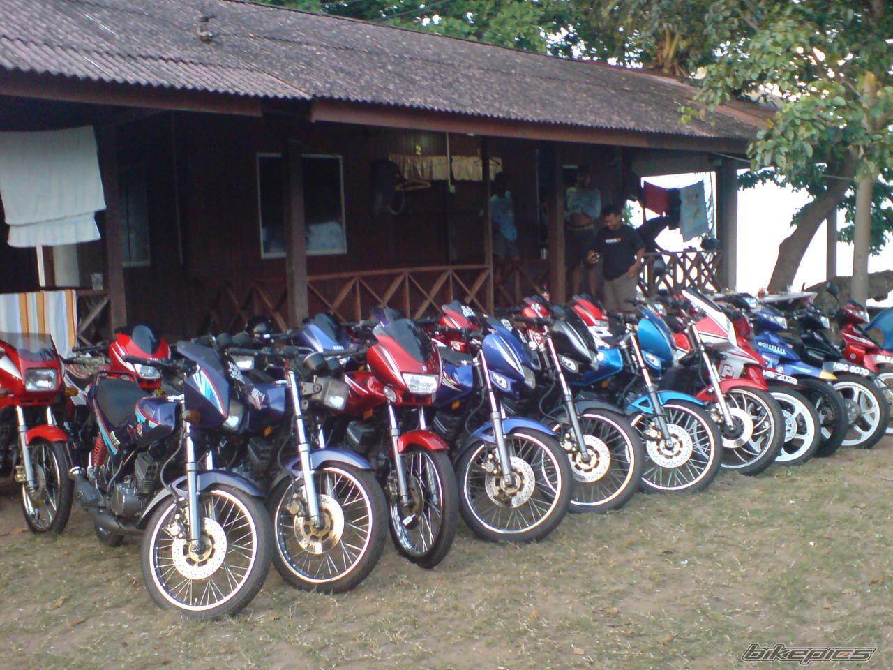 Photo 1539234