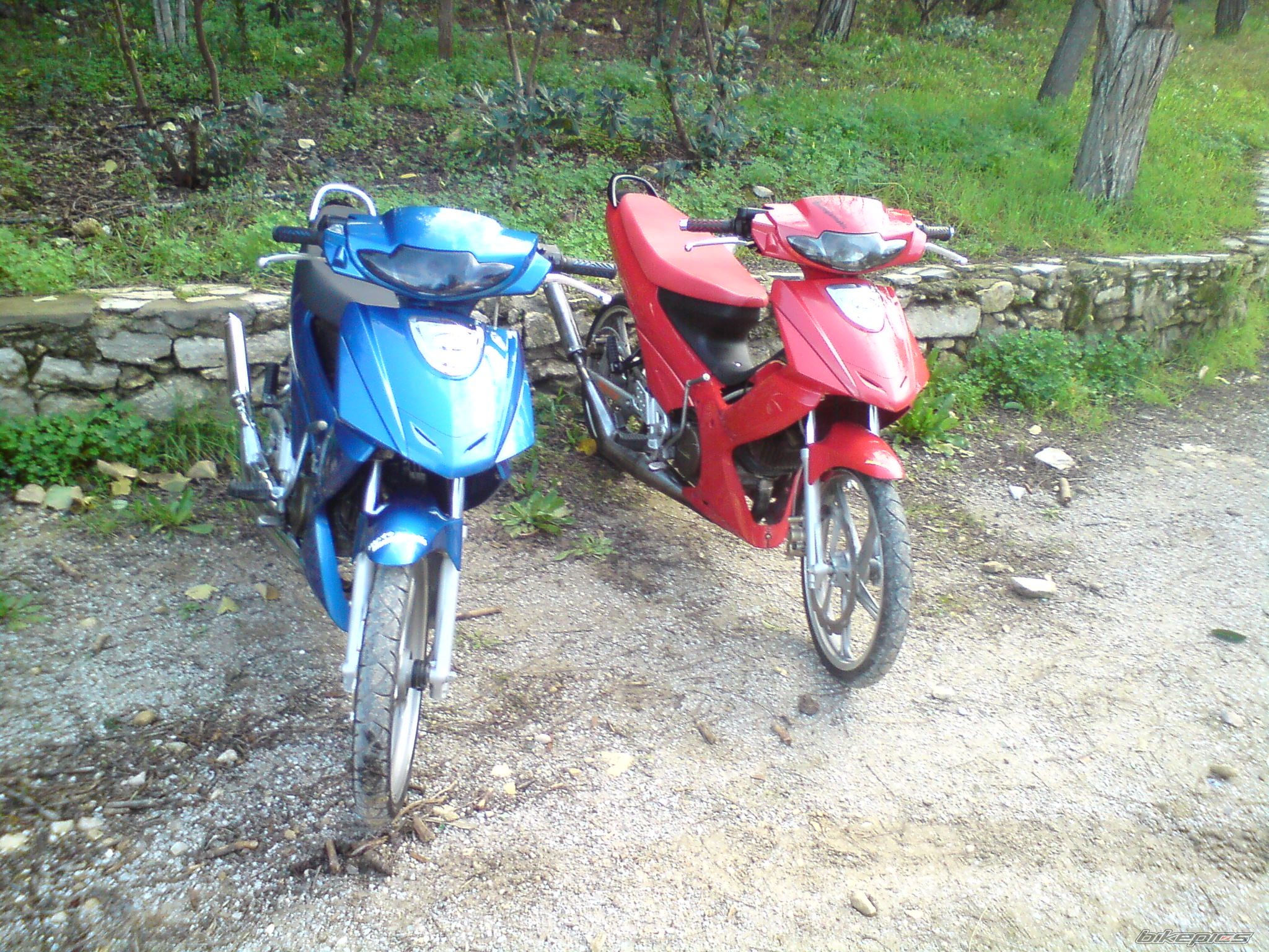 Photo 1539287