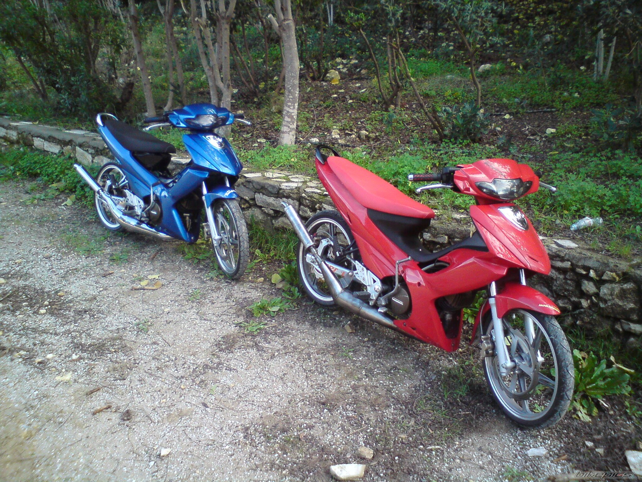 Photo 1539290