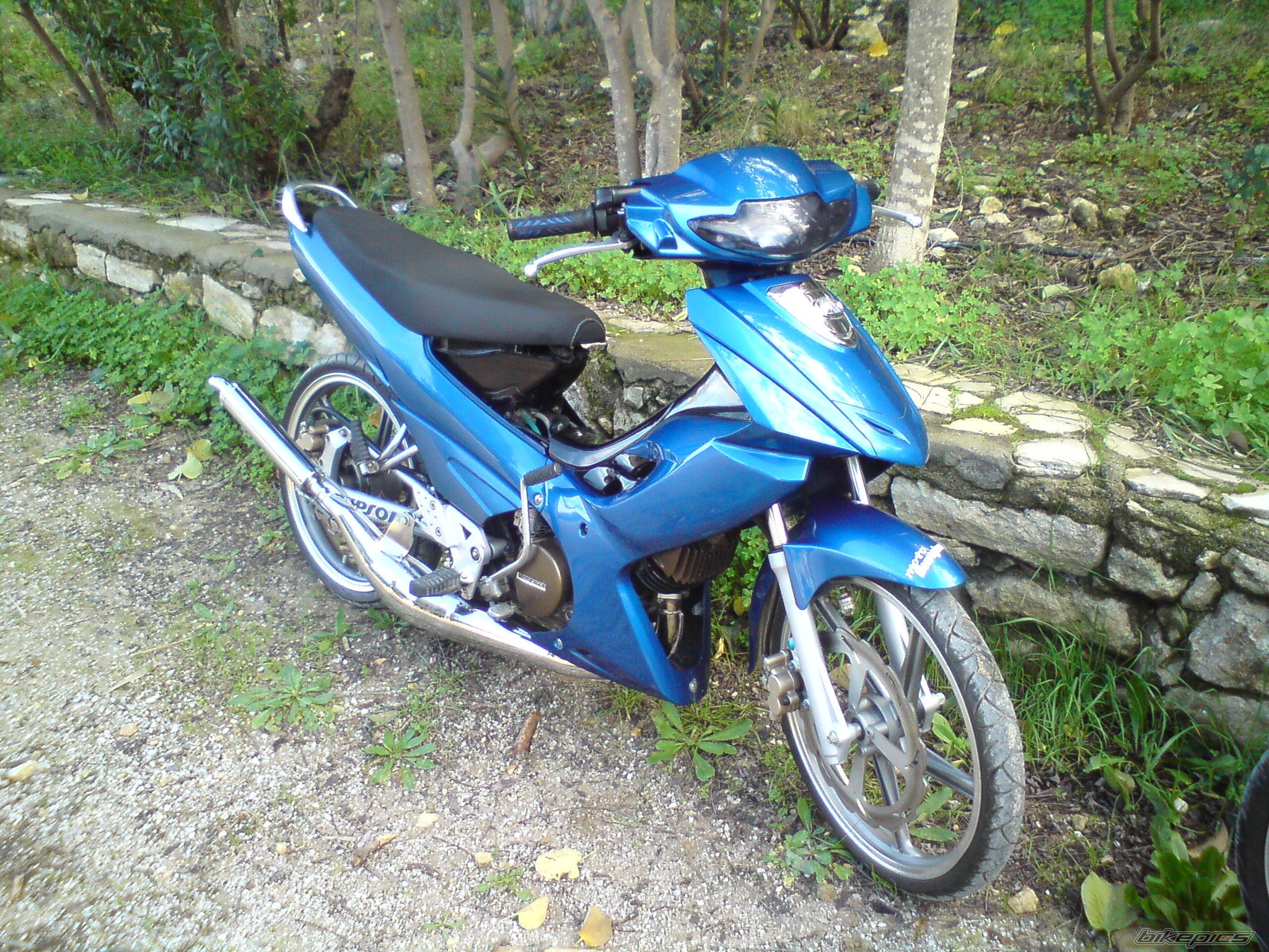 Photo 1539293