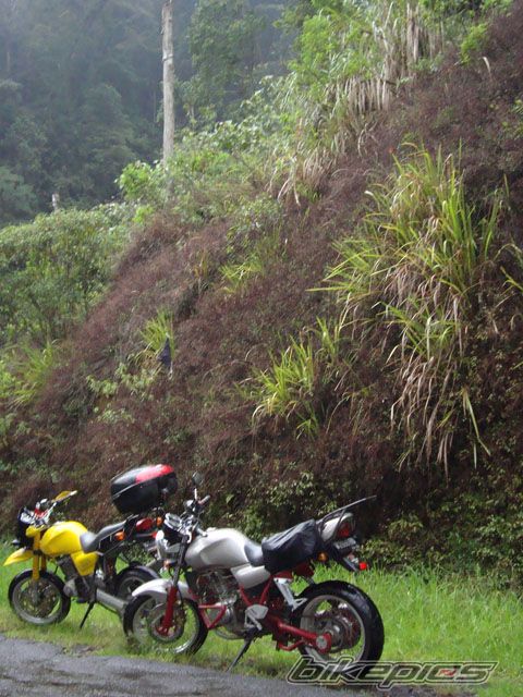 Photo 1539322