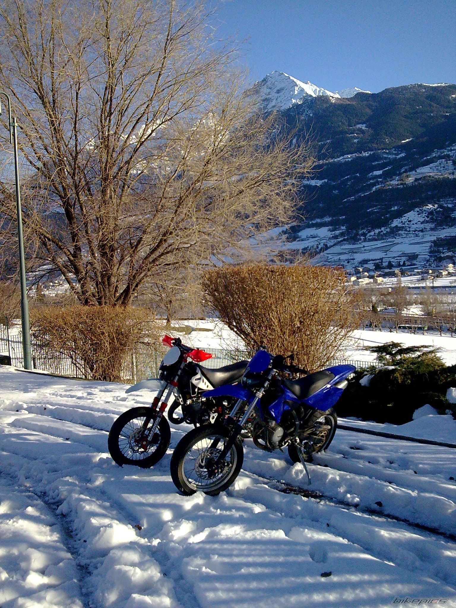 Photo 1539342