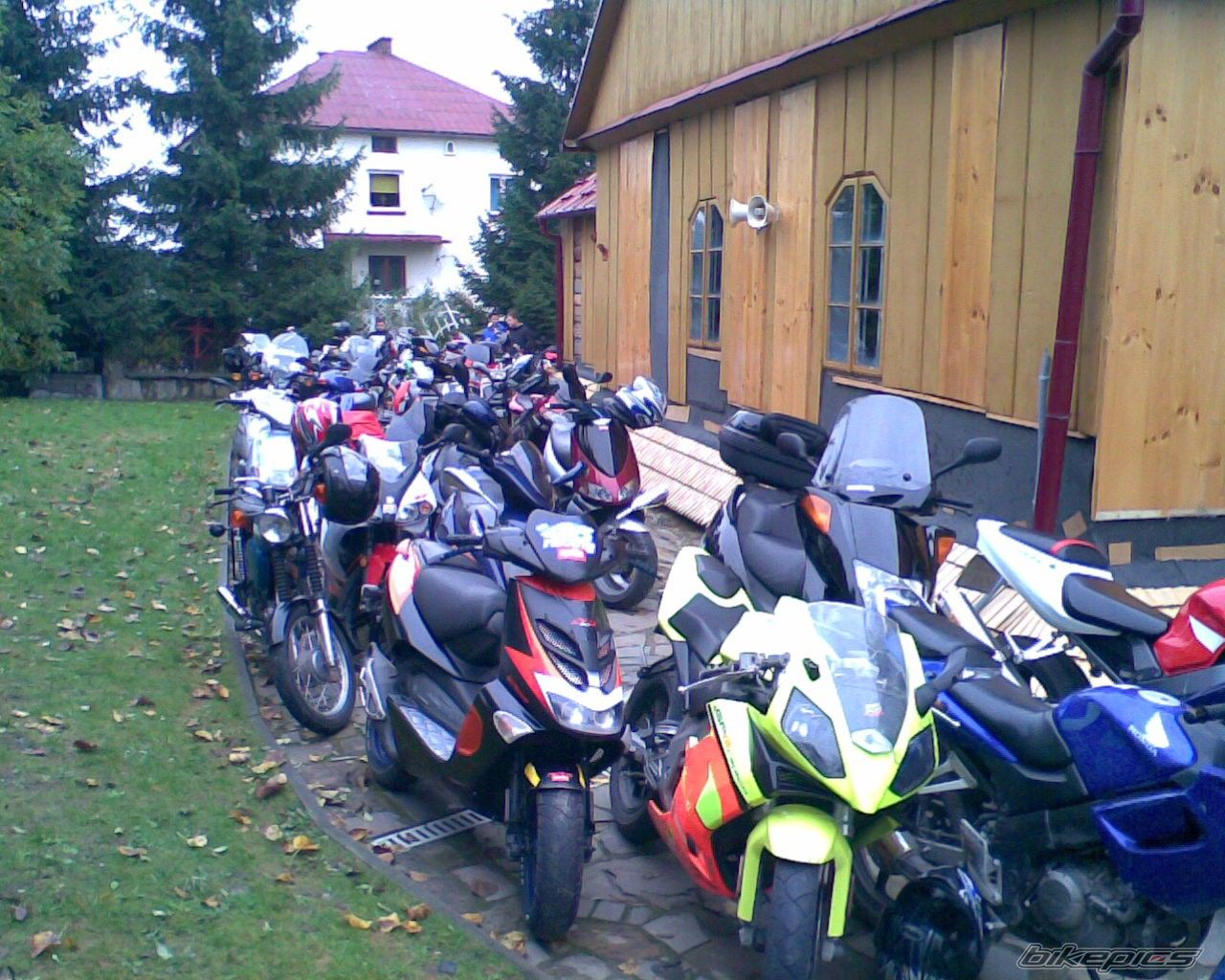Photo 1539412