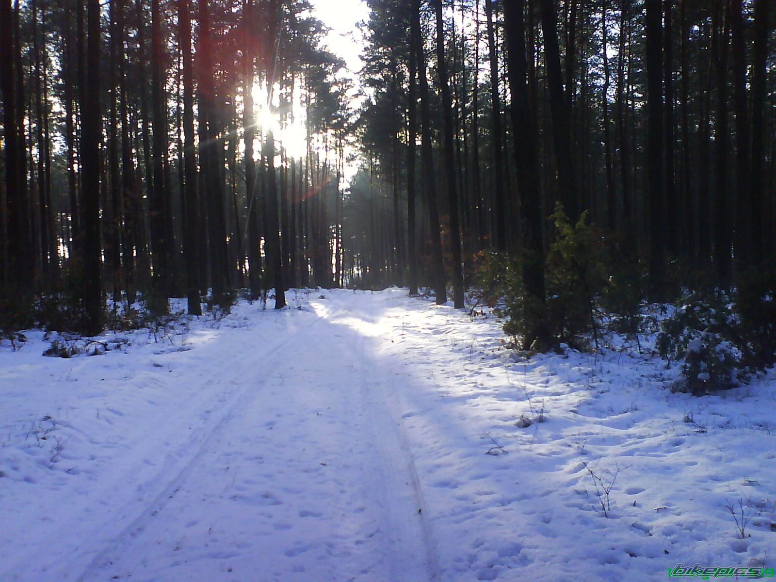 Bike Photo 1539534